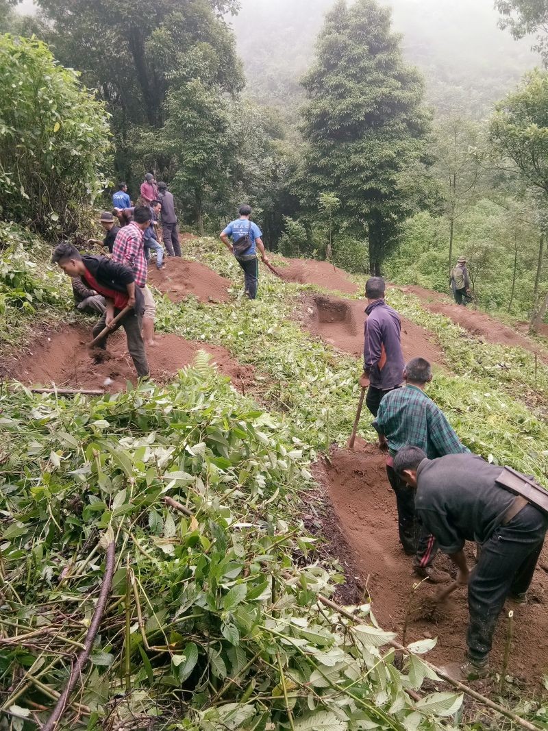 Villagers engaged in digging trenches for the springshed development project at Lukikhe village.